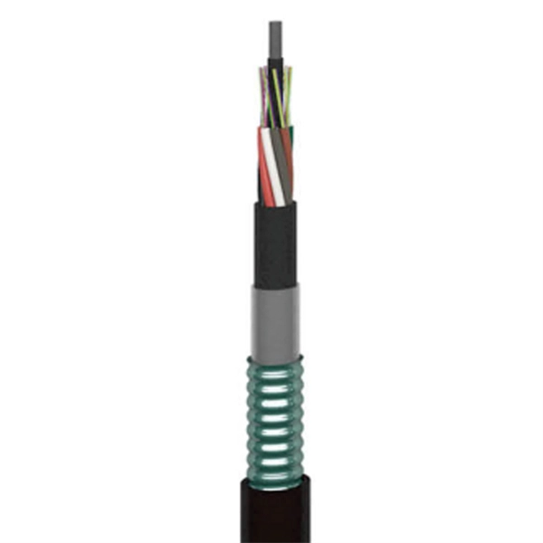 Fiber Optic Cables in 2000