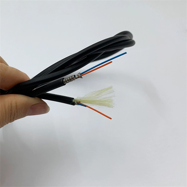 Optical Module Standard 6